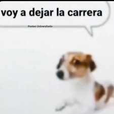 nesi :-)