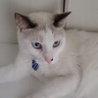 Emmanuel