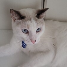 Emmanuel