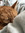 loulou200442