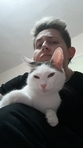 Silvi