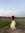 Burcu