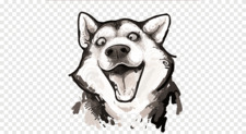 Anton