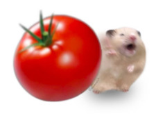 Rie