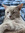 member photo member photo
