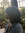 medha