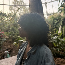 medha