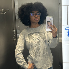 Dani