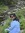 Rumana