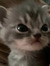 minniemoo