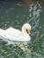 Sambrid...