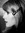 elodie