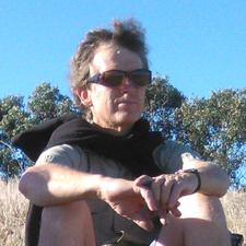 simon gillespie