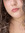 catarina