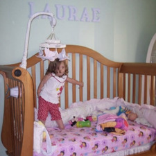 Laurae
