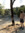 Rock Point