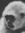 Monke