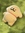 Sloth Kong