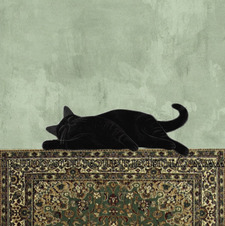 theindoorcat