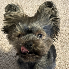 Keegan