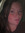 Katie Diltz