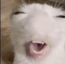 niki