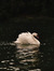دُعاء| ...
