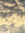 Cloudcapy_reads