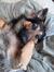 Gaby