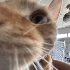 simon :)
