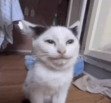 Batı 