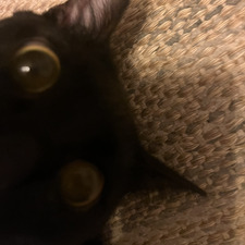 howdy