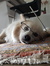 Lucy