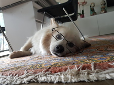 Lucy