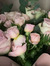 Reema