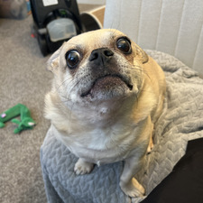 Simone