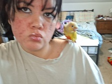 Molli