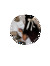 sarahmoro_