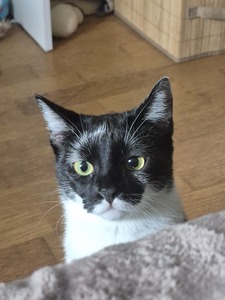 Clara