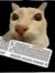 cathyz