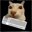 cathyz