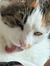 Lucie