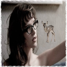 A Deer’s Diary 