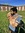 Ajay