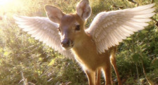 vane