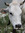 Marthe