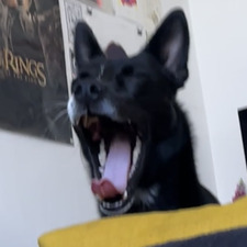M⋆˚꩜｡
