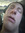 Collin Holson