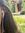 alexis_g11