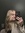 Ashley DeVries